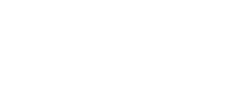 V7 Brasil